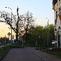 565A8789.JPG