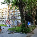 565A0060.JPG