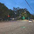 горького