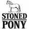 Совладелец бара Stoned Pony: Мы пытаемся сделать в Калининграде шоу-бизнес без голых баб и оргий