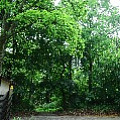 565A9635.JPG