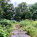 IMG_4033.JPG