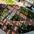 P1080826.jpg