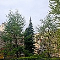 2025-04-24 09-12-20-1.jpg