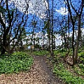 IMG_2291.JPG