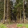 P2030899.jpg