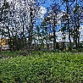 IMG_2313.JPG