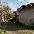 P2030922.jpg