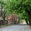 IMG_3526.jpg