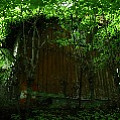 565A9709.JPG