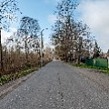 P2030930.jpg
