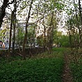 565A8805.JPG