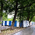 IMG_4046.JPG