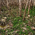 P2030913.jpg