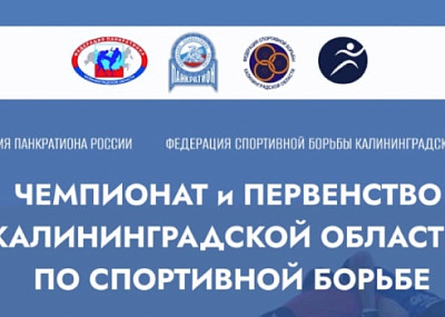 Чемпионат и первенство области по спортивной борьбе (6+)