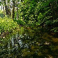 P1070310.jpg