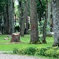 IMG_0227.JPG