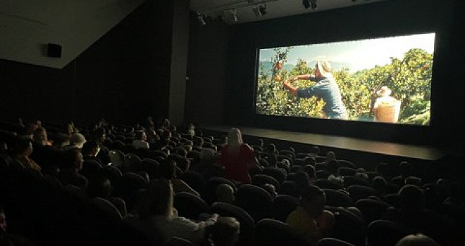 В рамках Всероссийской «Ночи кино» 14 площадок Калининградской области провели бесплатные показы фильмов