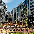 P1080838.jpg