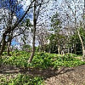 IMG_2299.JPG