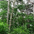 565A9734.JPG