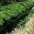 P1100493.jpg