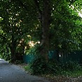 565A0128.JPG