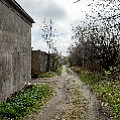 P2030923.jpg