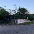 IMG_3517.jpg