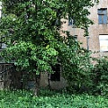 IMG_0803.JPG