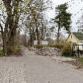 P2030860.jpg