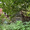 IMG_2546.JPG