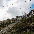 P1100516.jpg