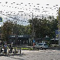 P1110754.jpg