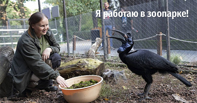 Я работаю в зоопарке! (12+)