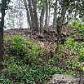 IMG_4167.jpg