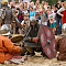 «Вернулись в Средневековье»: обзор мероприятий на выходные
